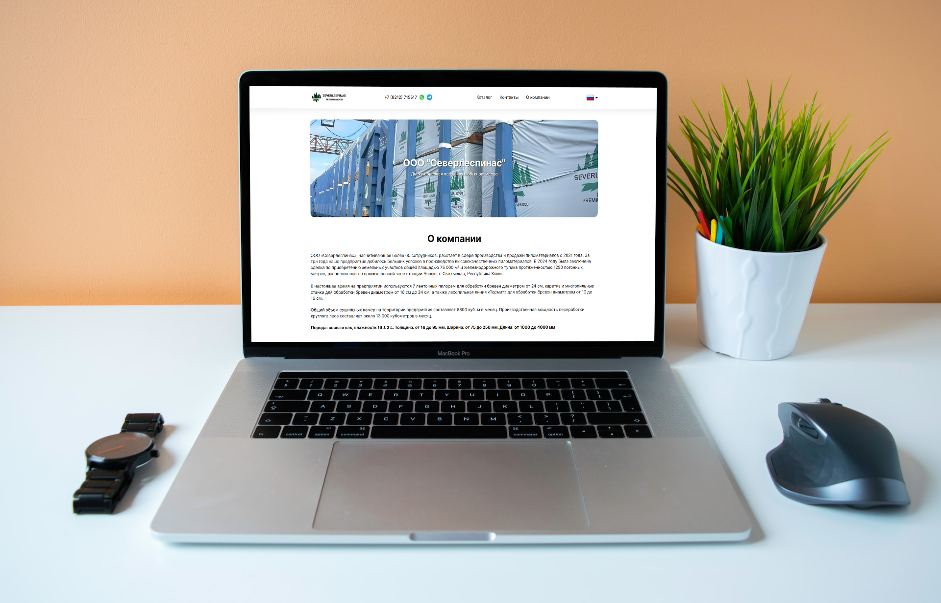 Превью сайта